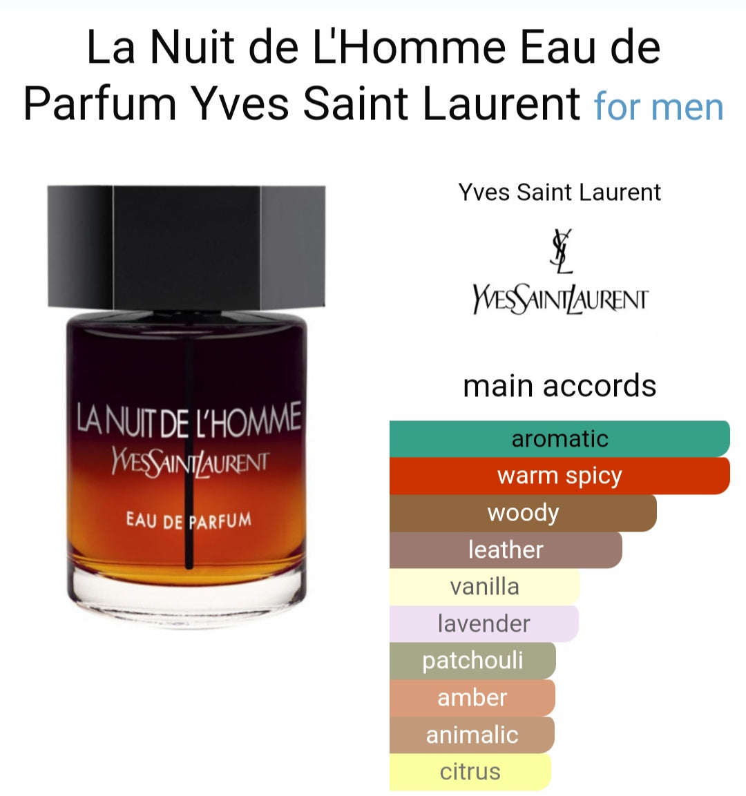 Yves Saintt Laurentt La Nuitt de L'Homme